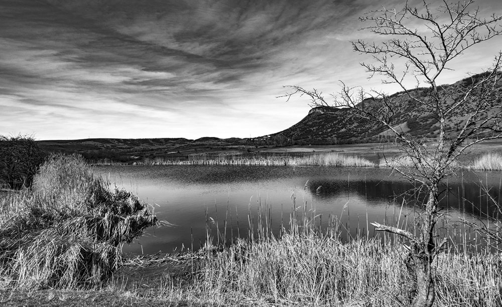 Photograph by Alex Kalpus