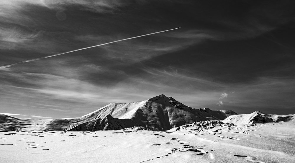 Photograph by Alex Kalpus