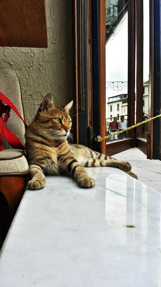 King of Istanbul ..