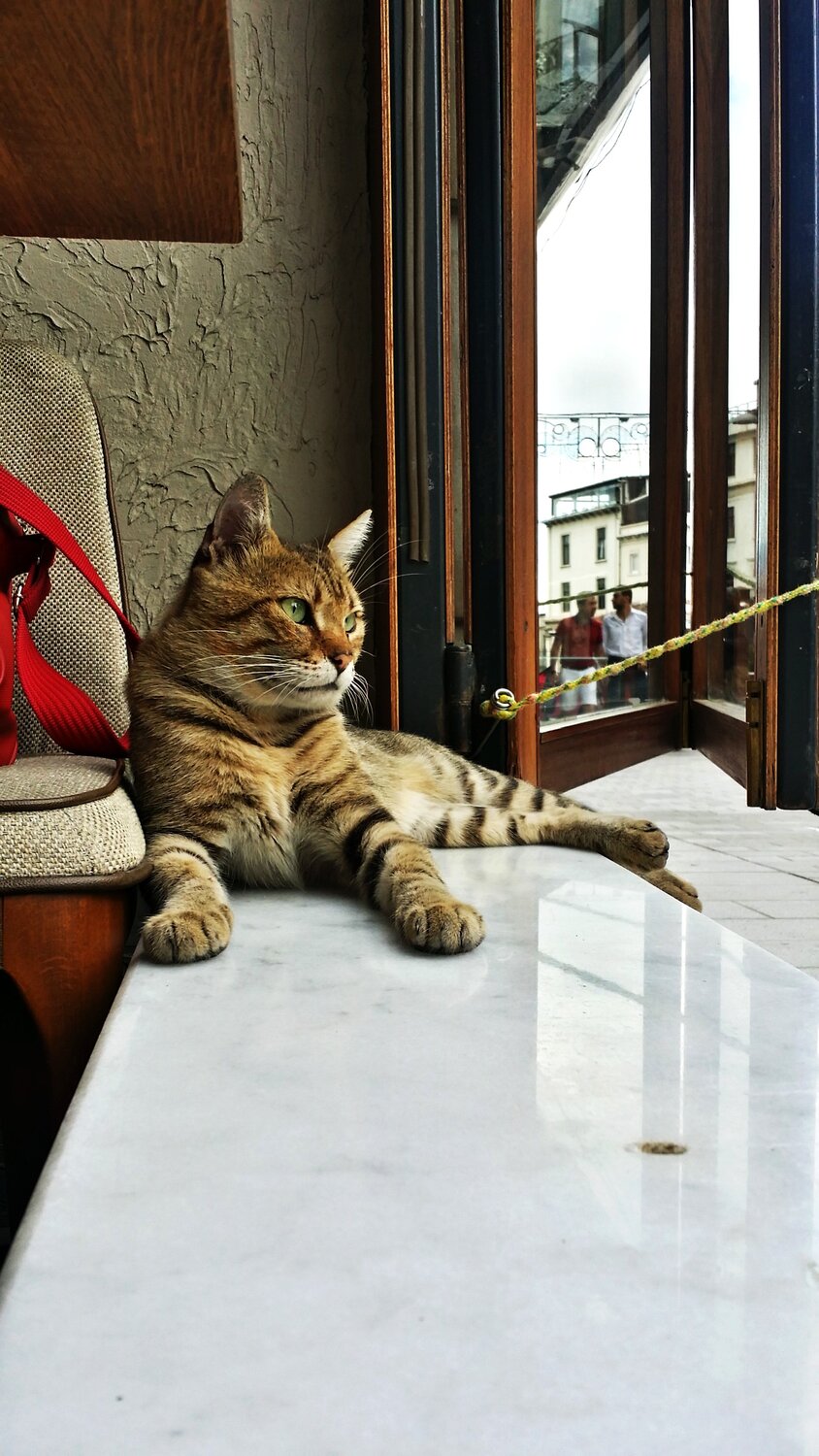 King of Istanbul ..