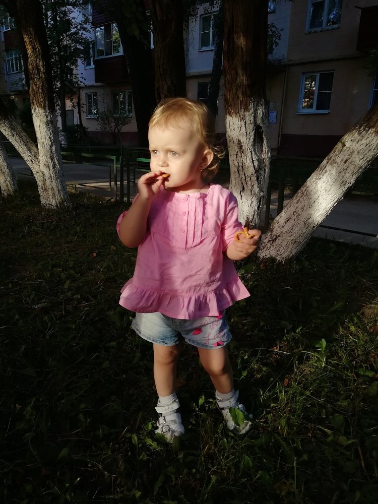 Летний вечер