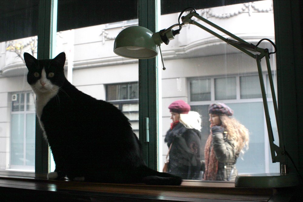The Observer ..