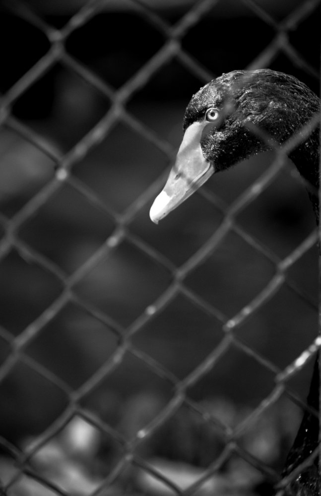 Одиночество