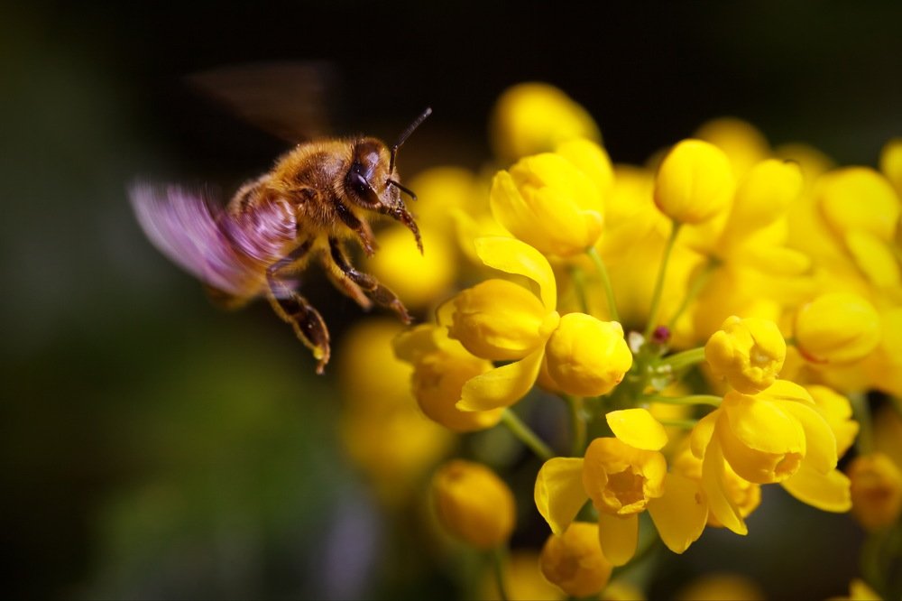 Мягкая посадка