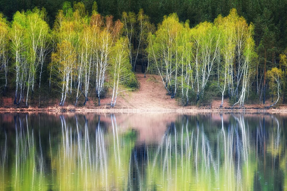 Зазеркалье