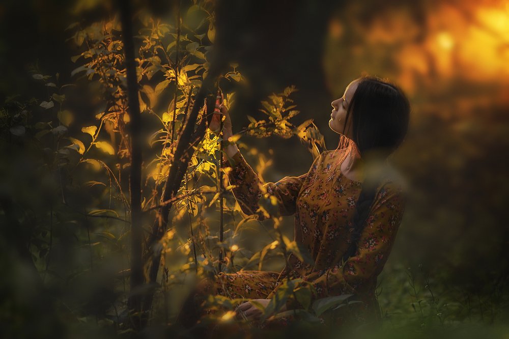 В поисках света