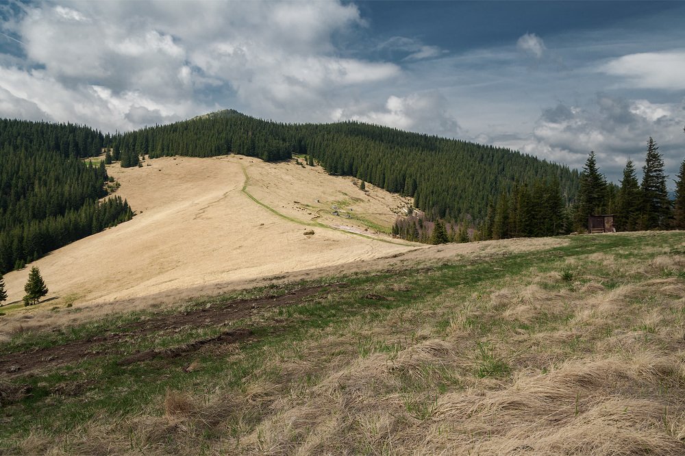 Карпатскими тропами...