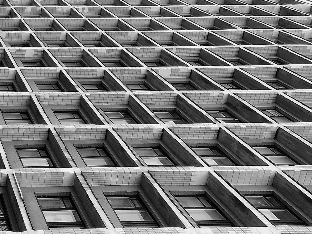 Муравейник.