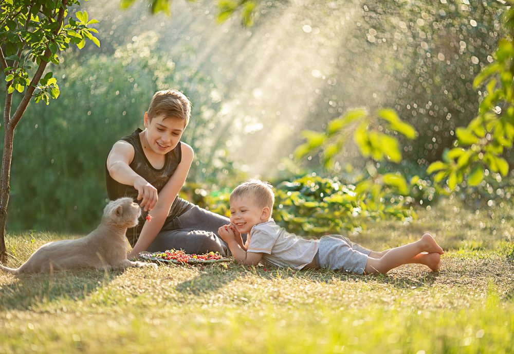 Радость лета