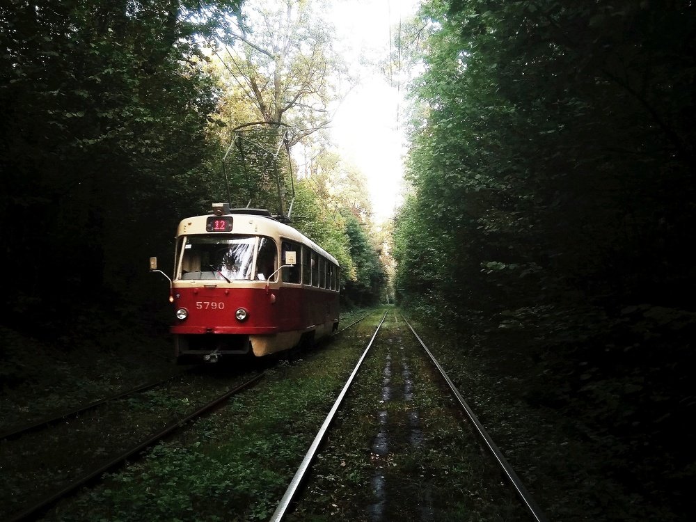 Tram way