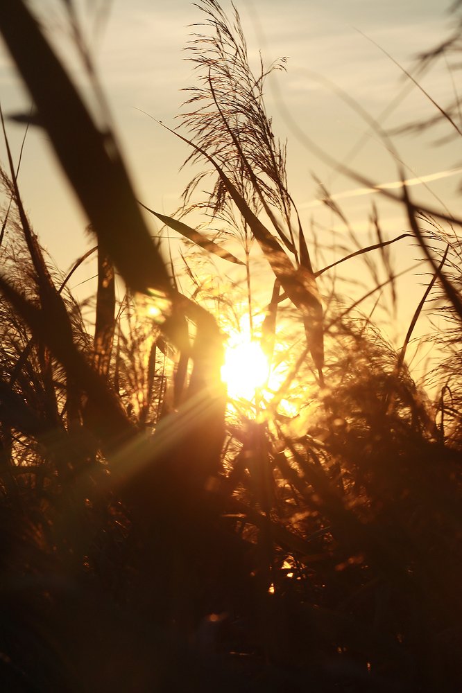 Photograph by Мария Сычёва