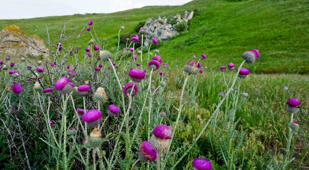 Азовский Крым