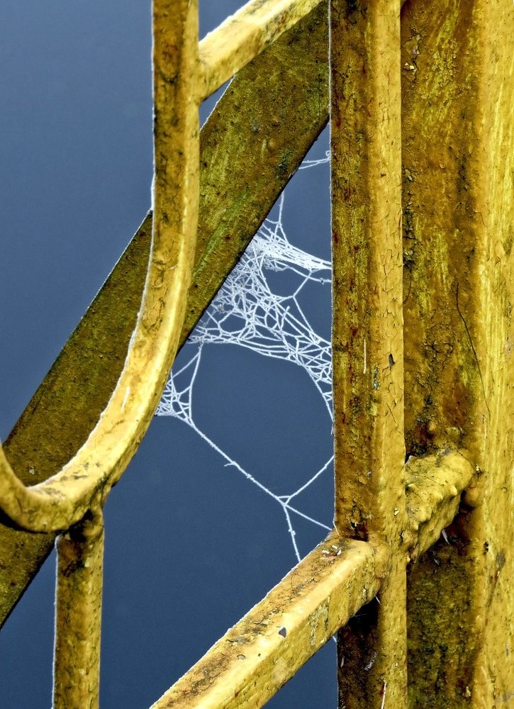 Заштопанная реальность