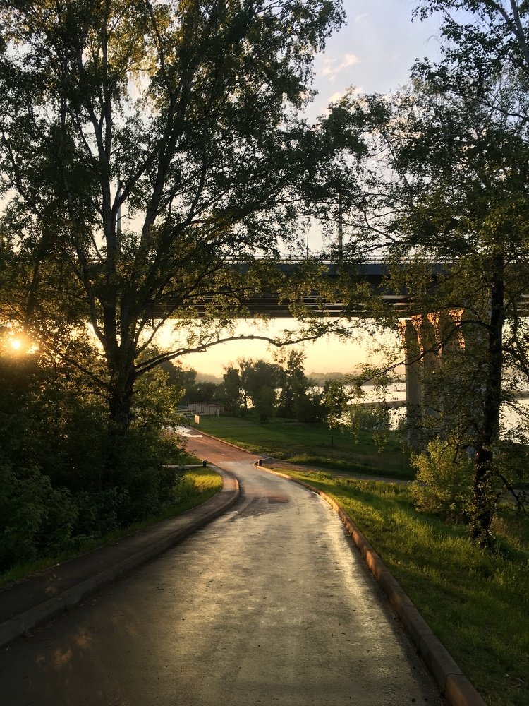 Летним вечером после дождя