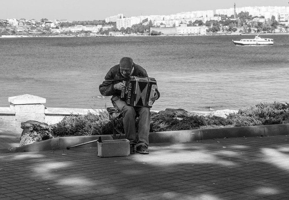 Играй, гармонь!