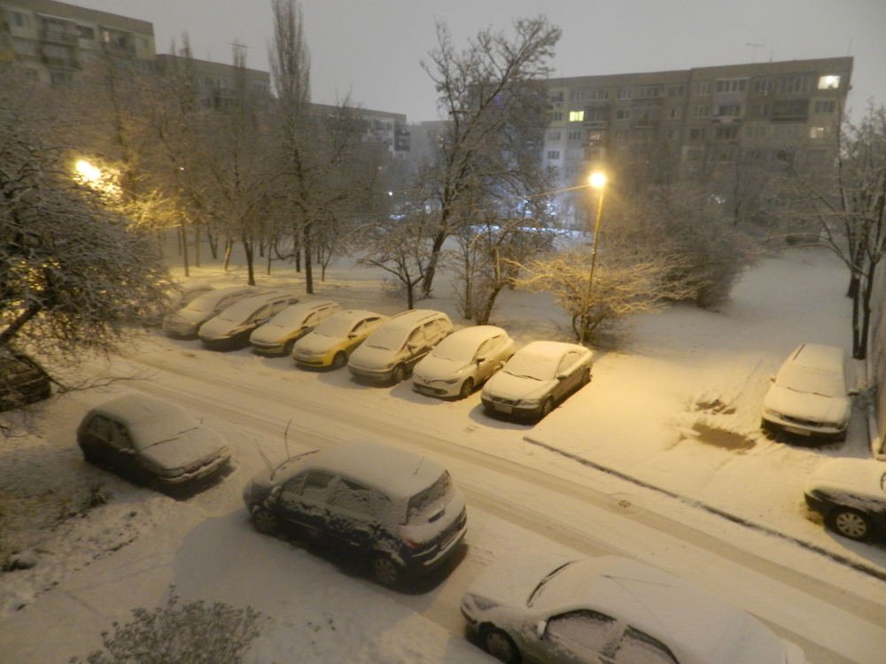 Photograph by mahmoud shihabi moni