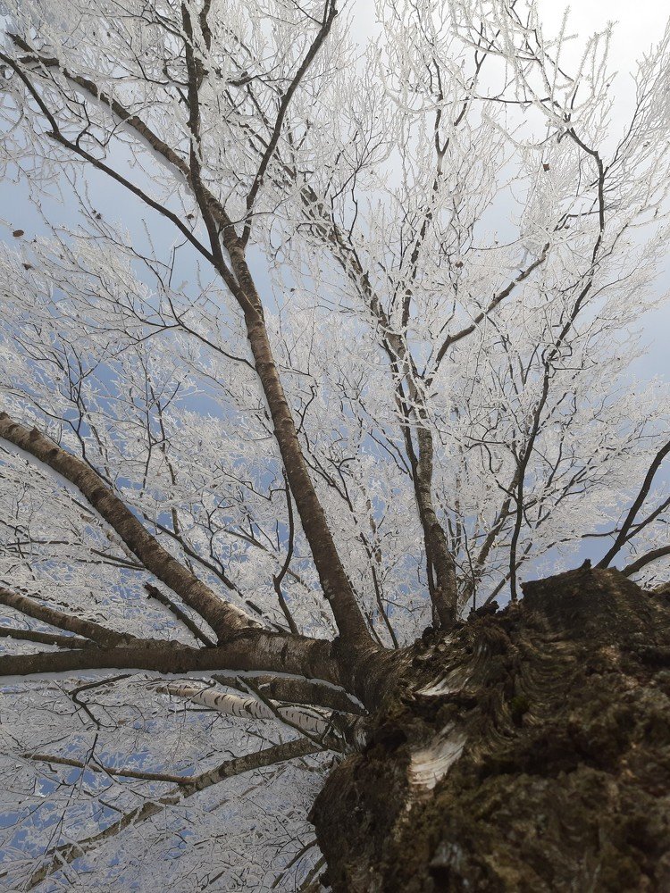 Photograph by Юлия