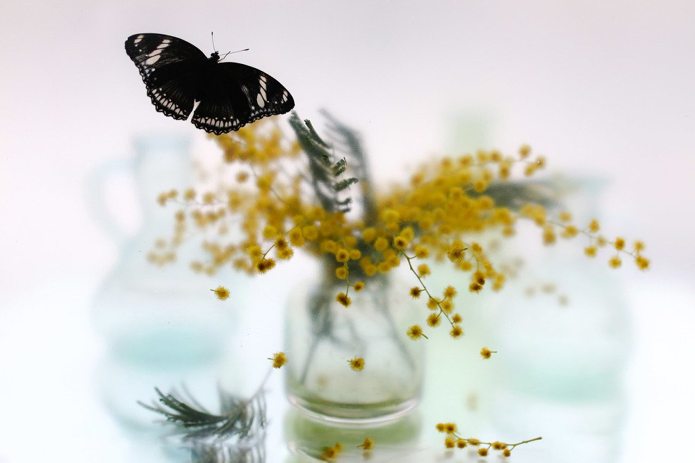 Однажды мартовским утром...