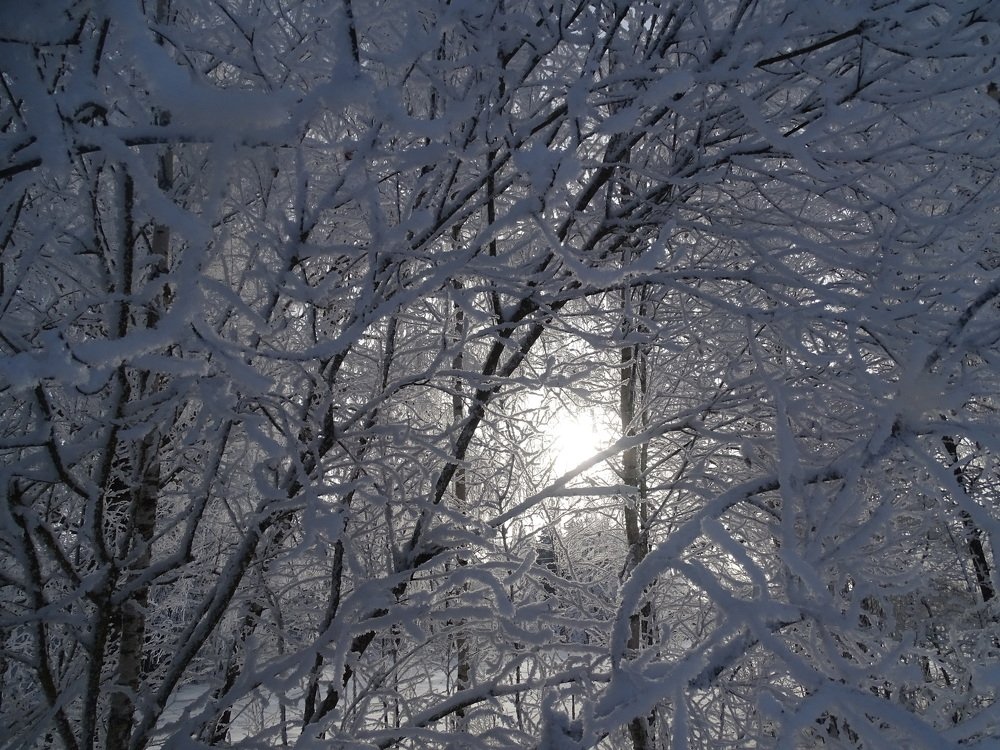 Photograph by Юлия