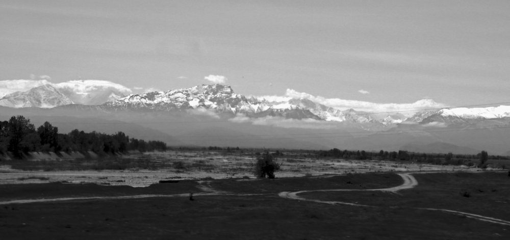 Без названия