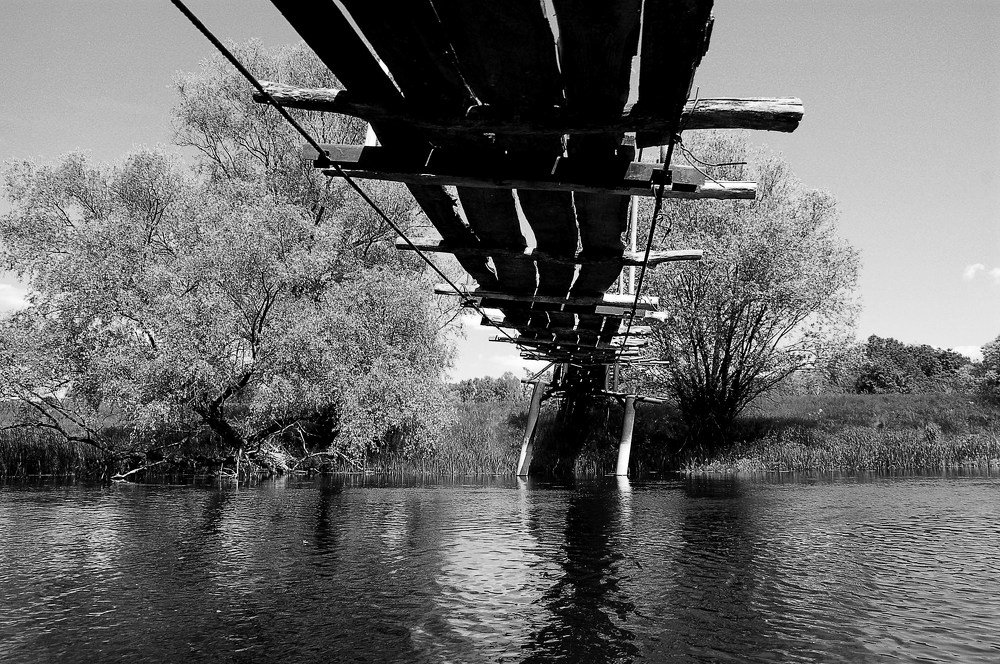 Балаклеевский район. Весна 2019 года