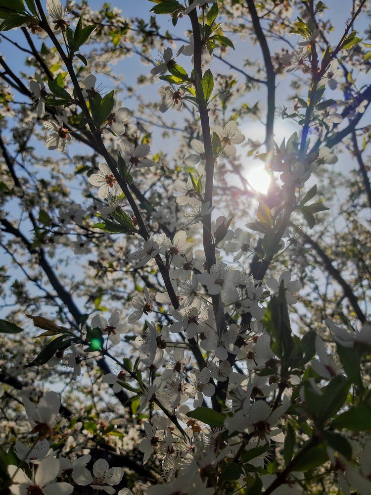 Photograph by Юлия