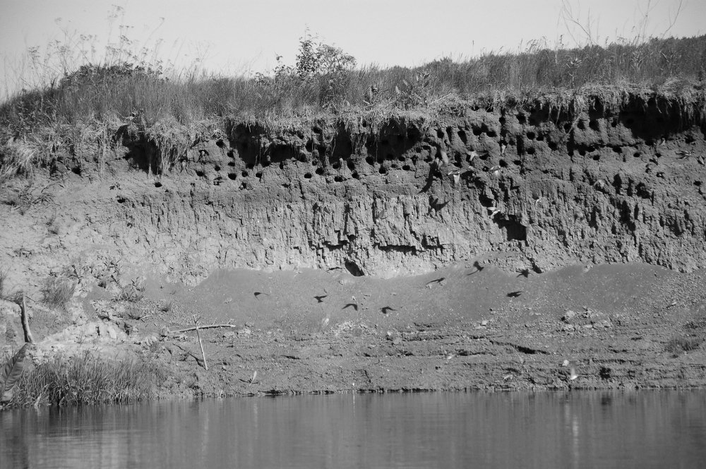 Ласточкино гнездо в харьковской области