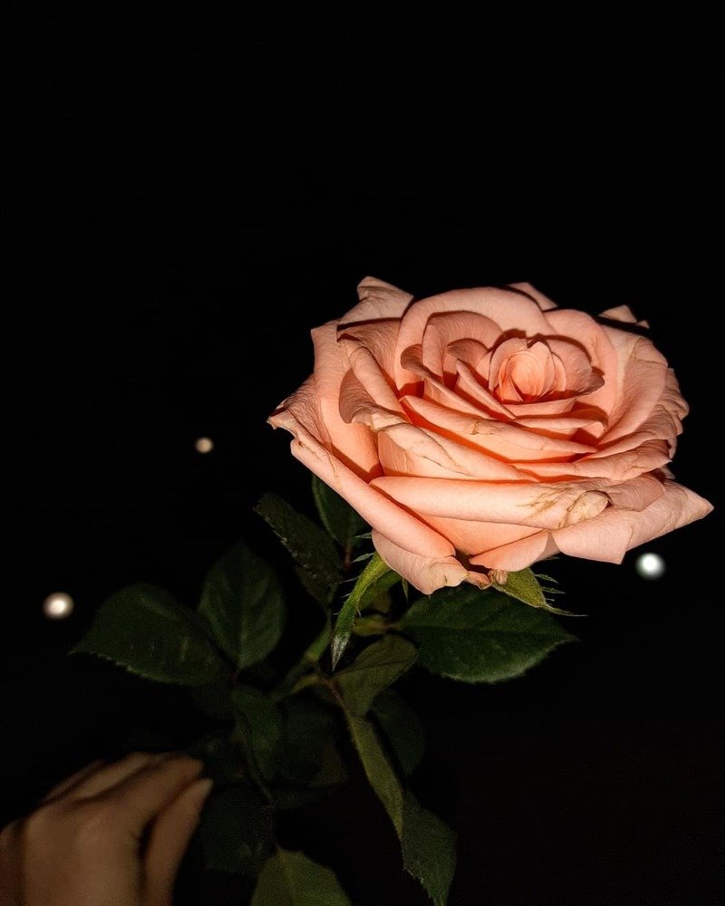 Photograph by Юлия