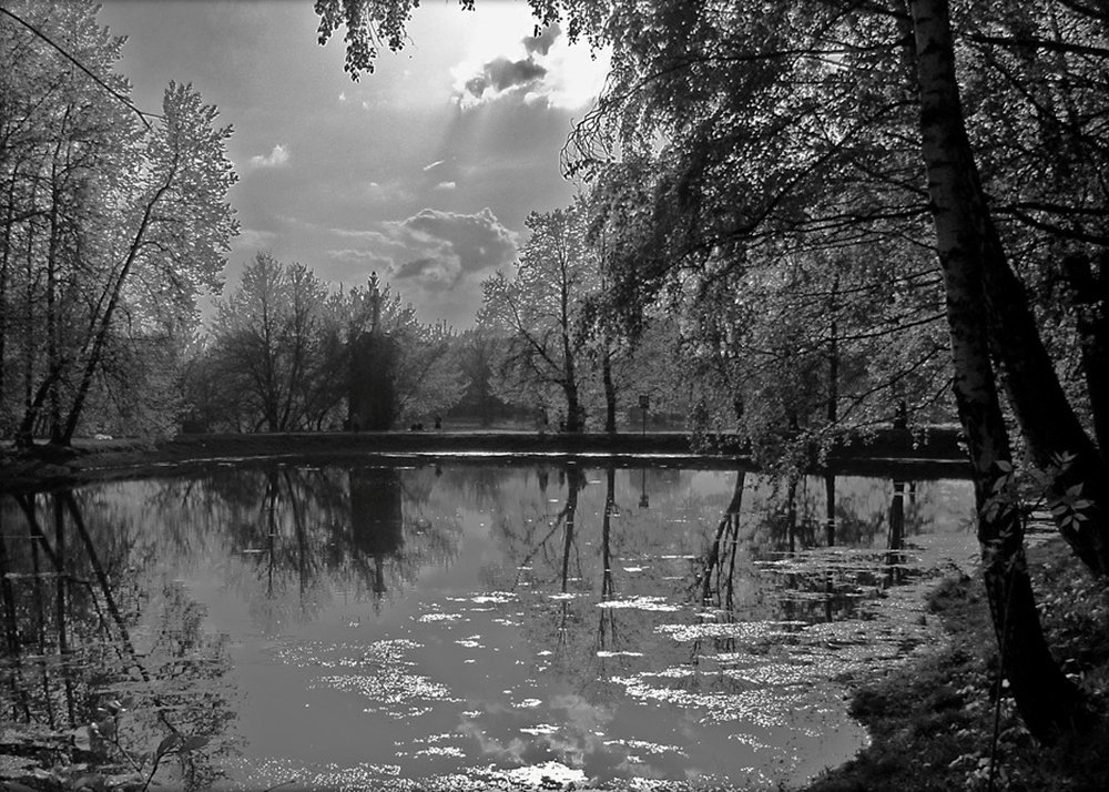 Умиротворённость