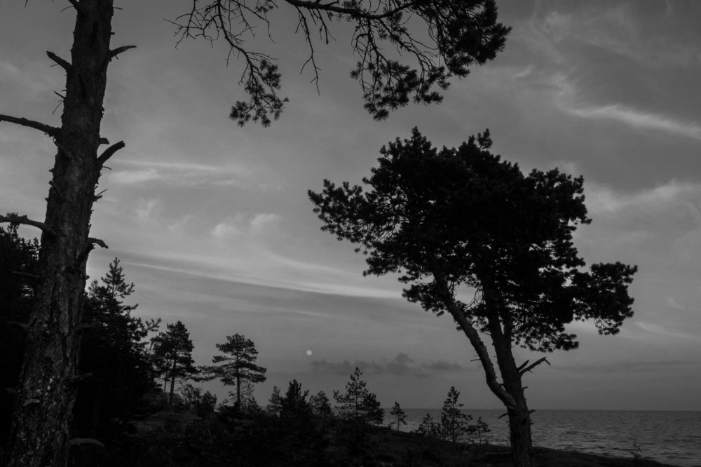 Северная ночь