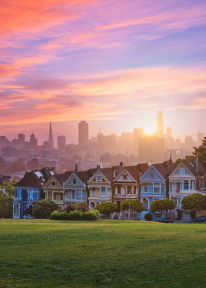Painted Ladies