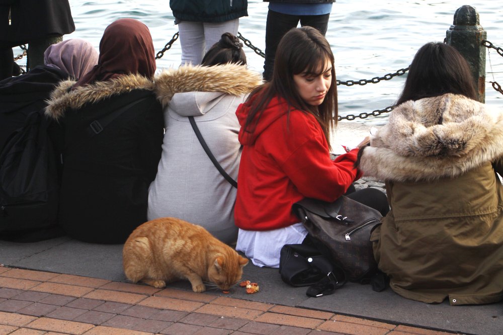 No Comment ...