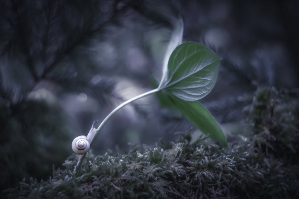 Долгий  путь на верх.