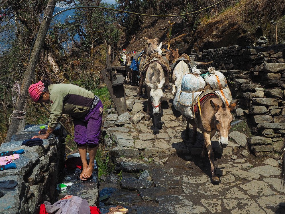 Ритмы повседневности