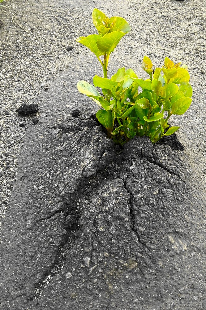 Сила природы