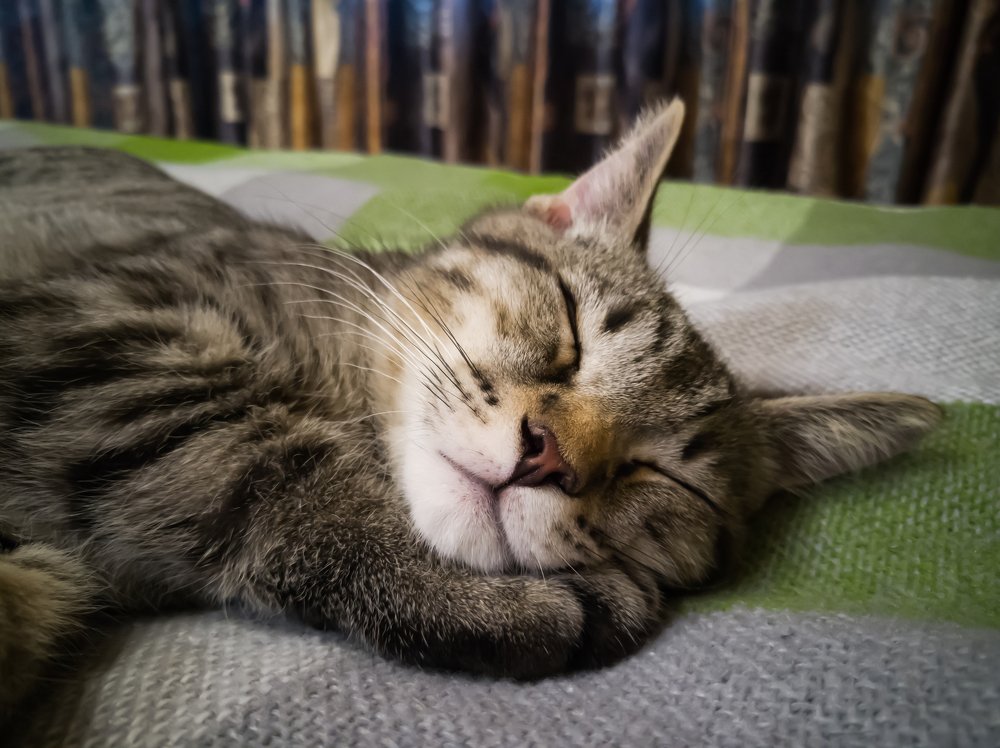 Photograph by Сергей Романченко