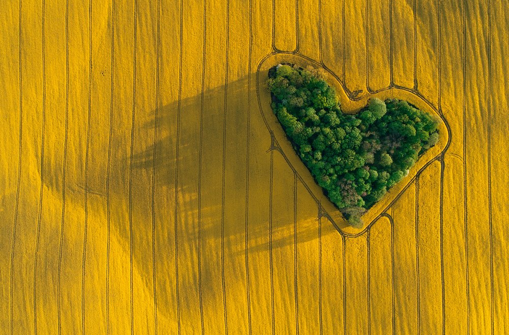 Do you feel the love from mother nature?