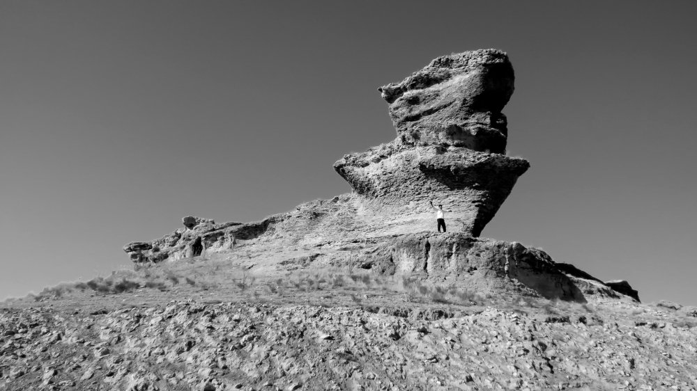 Фотография автора taher sabahi