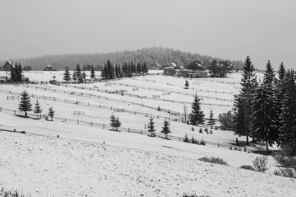 Photograph by Елена Боржковская