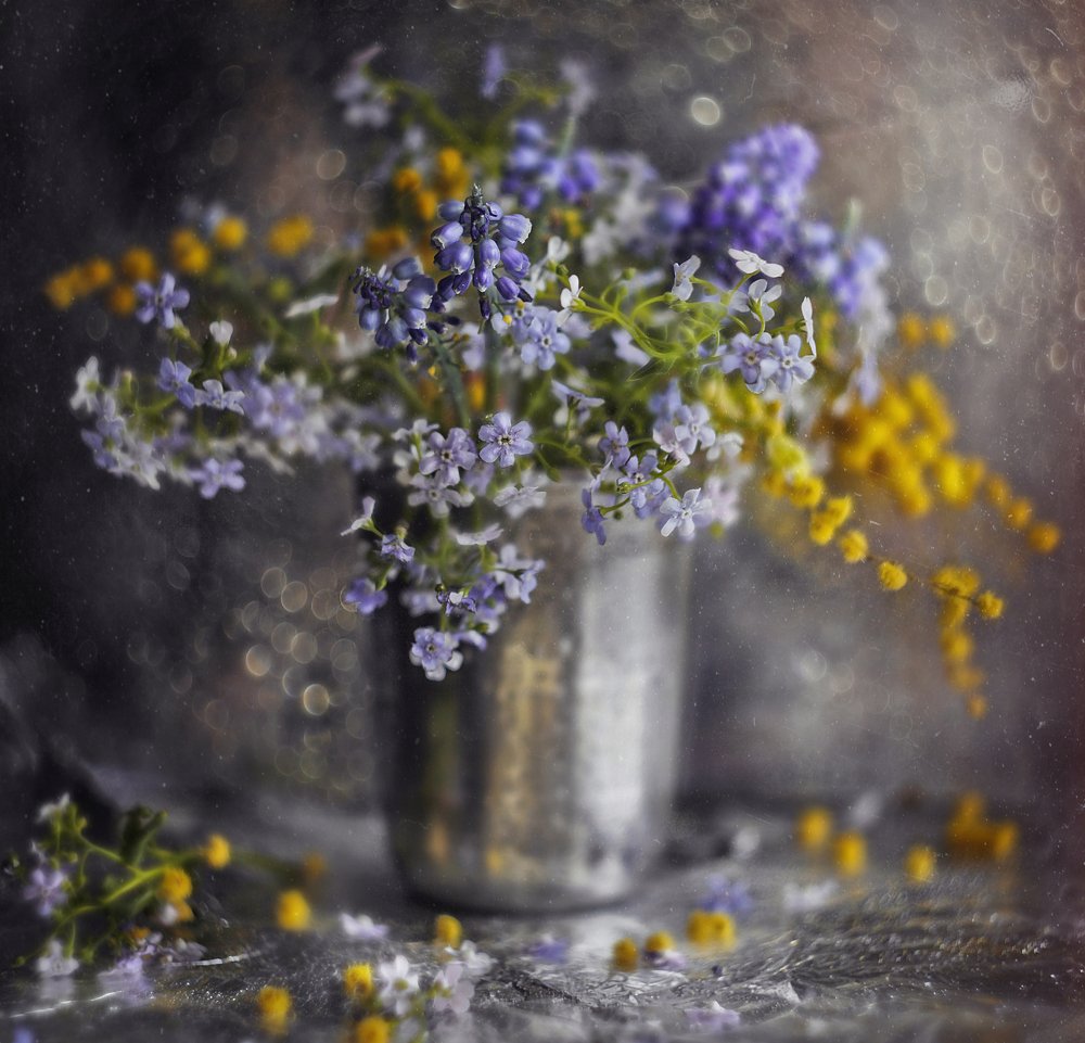 закружила весна*