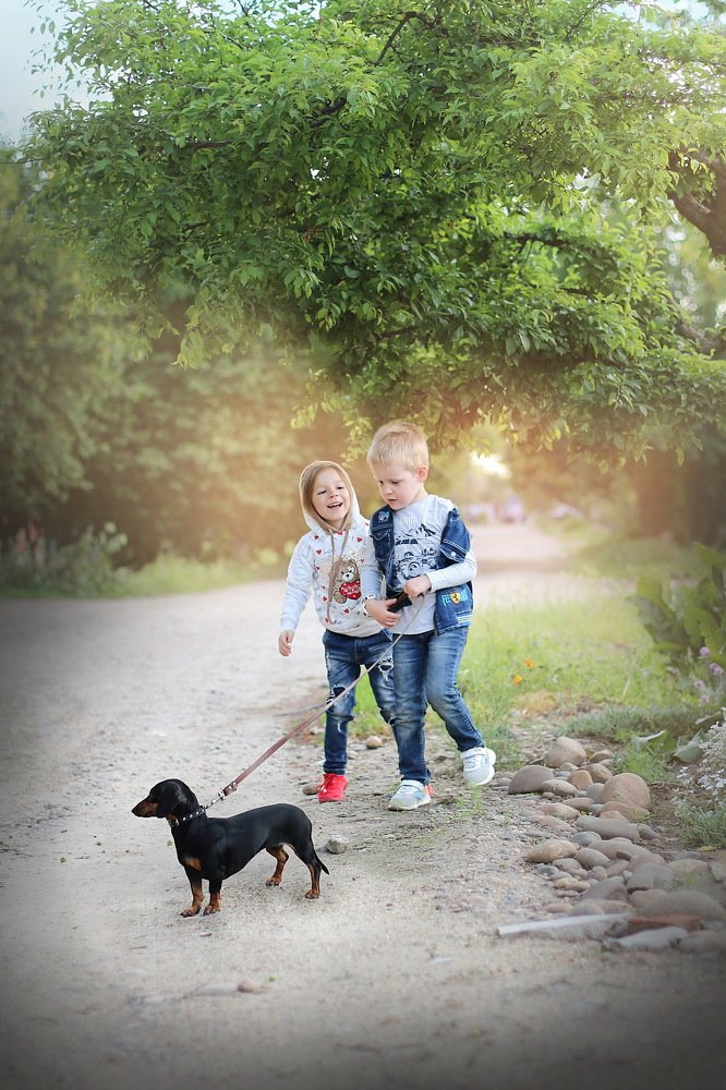 Прогулка с собачкой )