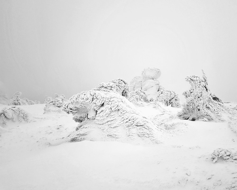 Photograph by Marcin Sokolowski - maarew