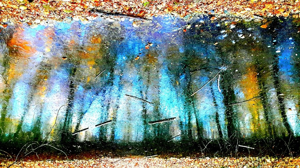 Ледяное отражение