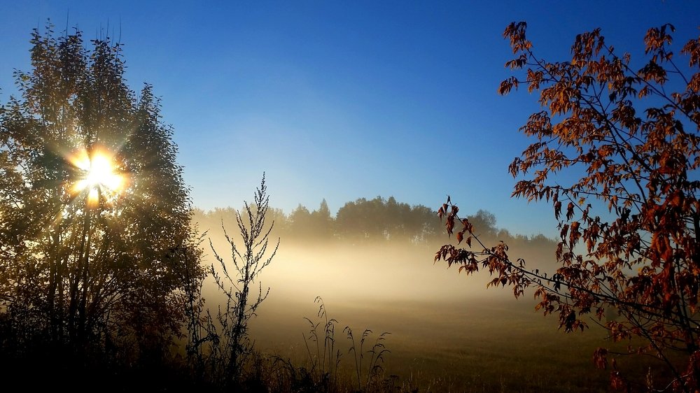 Осенний туман на восходе