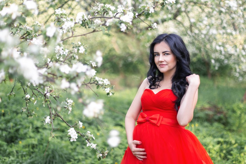 Яблоневый сад