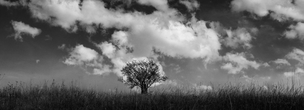 Photograph by Петр Ломакин