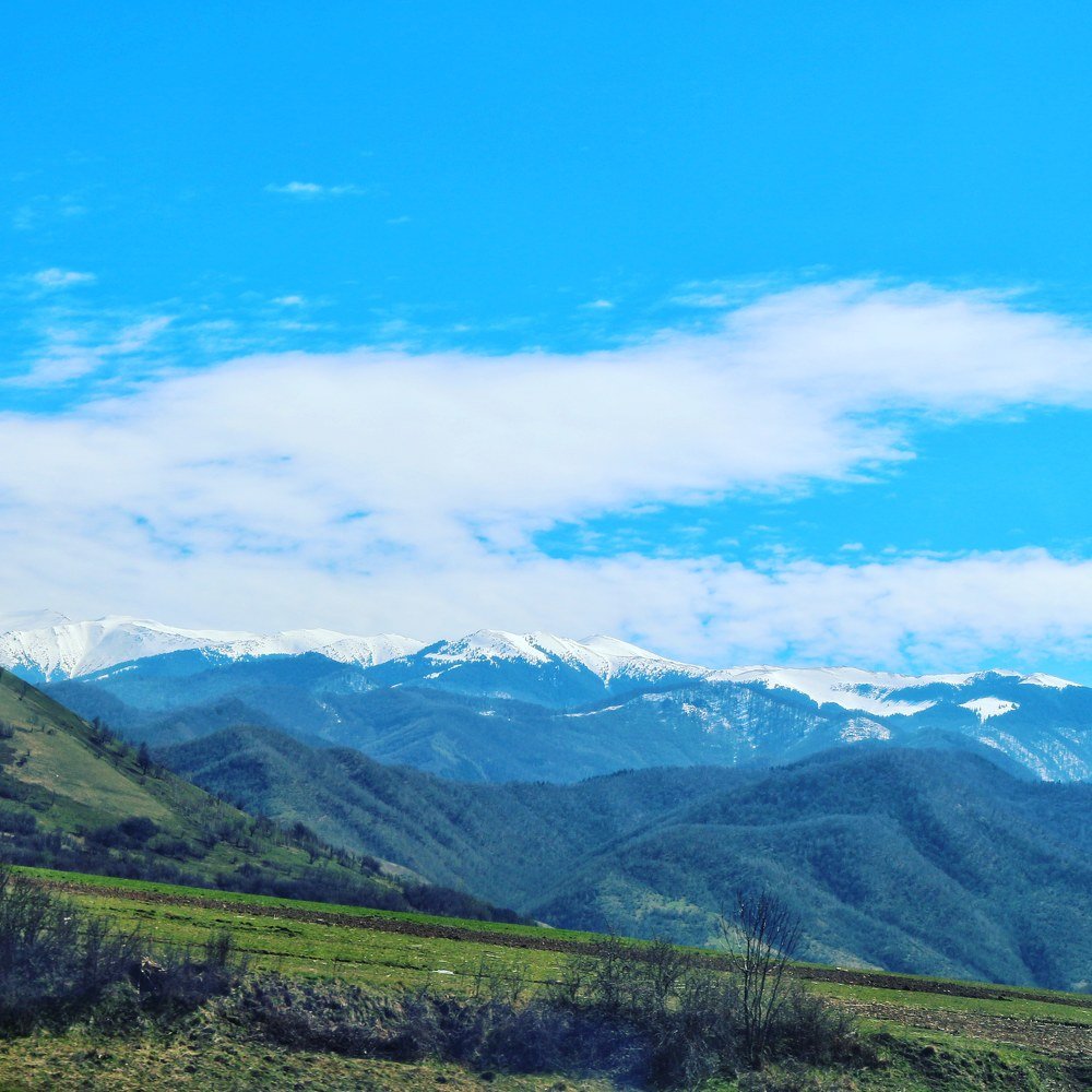 Mountain