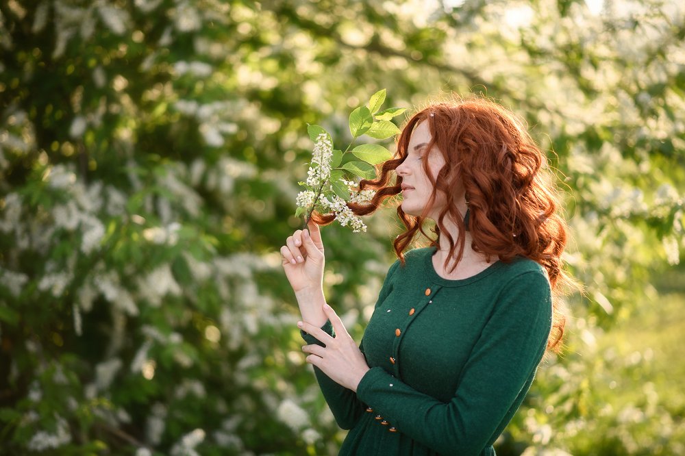 в лучах заката