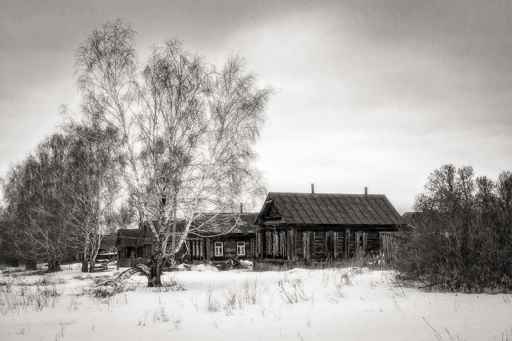 Белая береза под моим окном