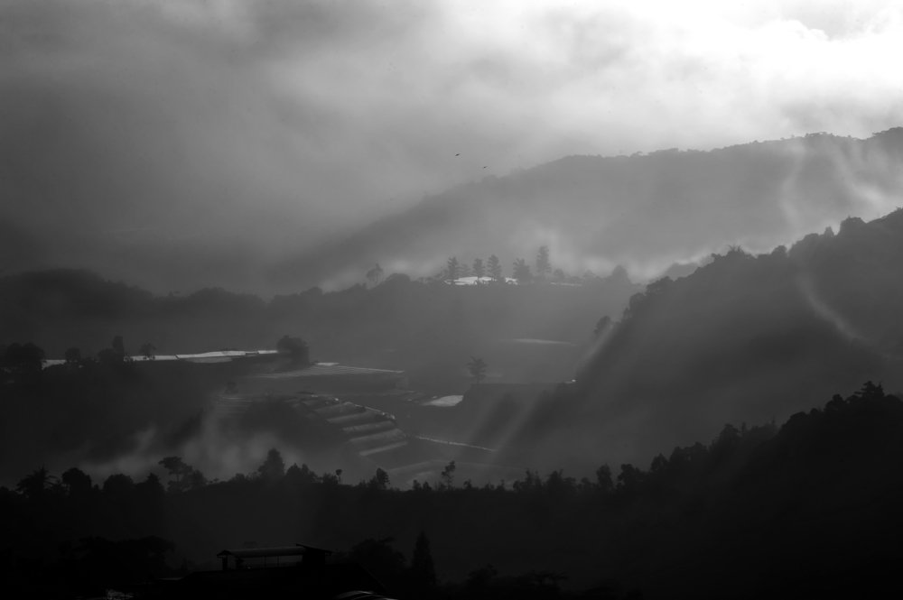 Morning dew during sunrise